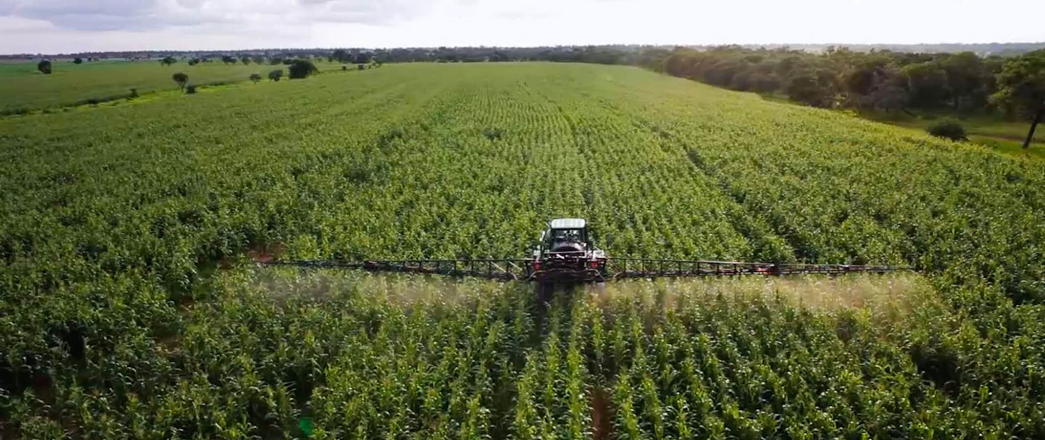 Content Localization