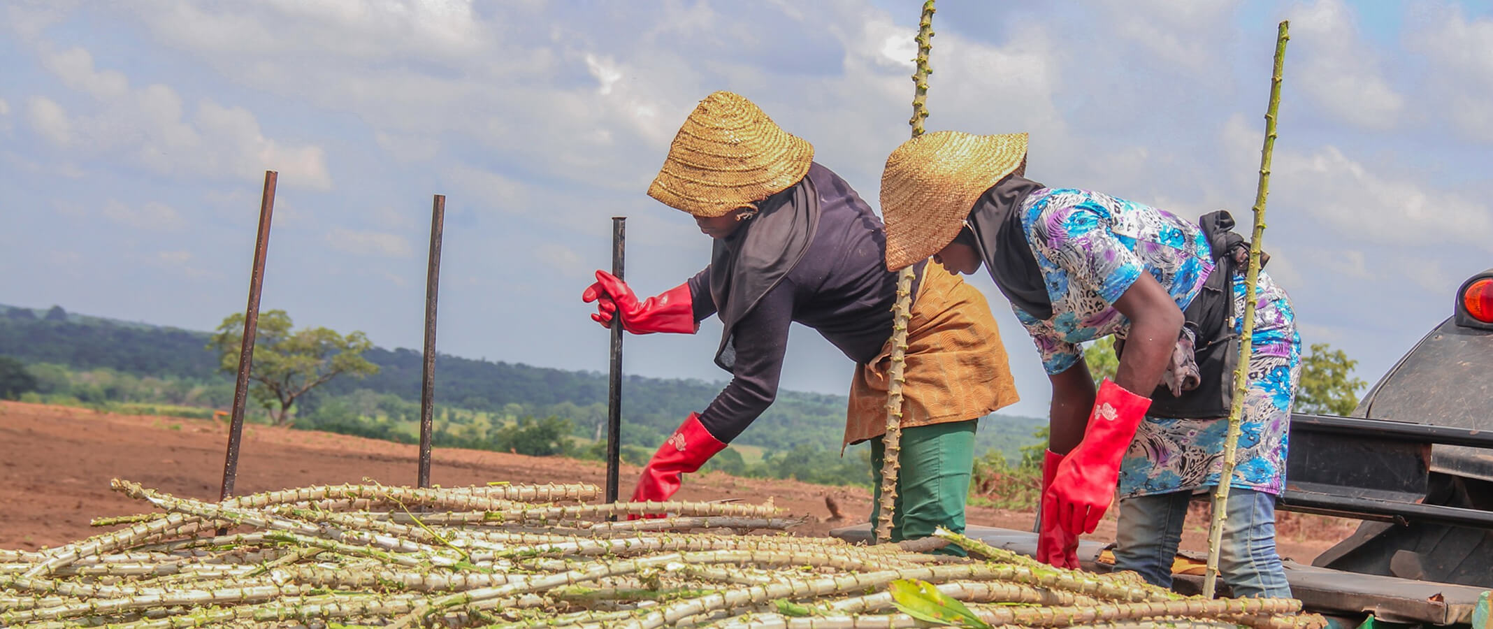 Nourishing Today,Sustaining Tomorrow